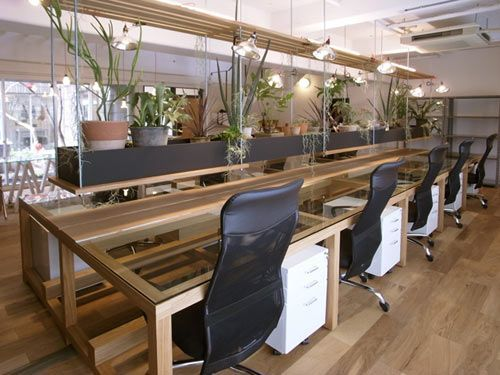  a modern office filled with house plants and wooden desks