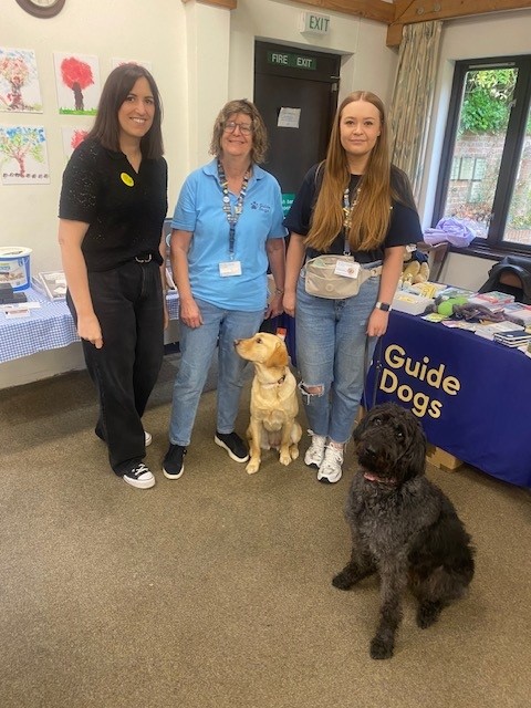 pure offices fundraising